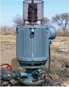 Direct-drive screw oil pump